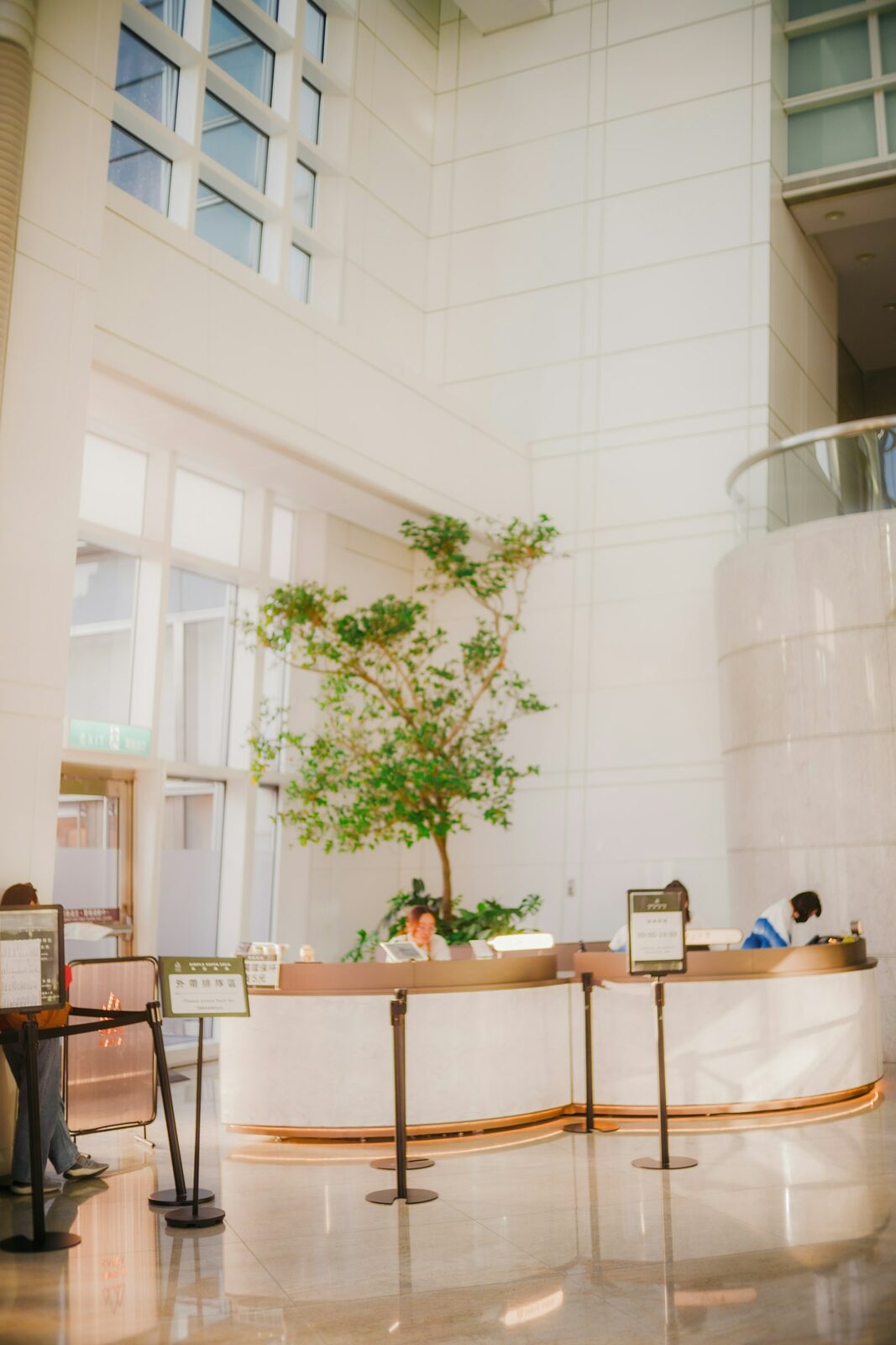 A tall, light-filled reception hall with a curved white desk, a small tree and staff attending to visitors.
